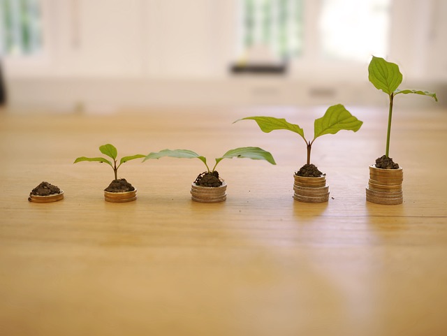 Comment Les Psychologies Influencent Nos Décisions D’Investissement.